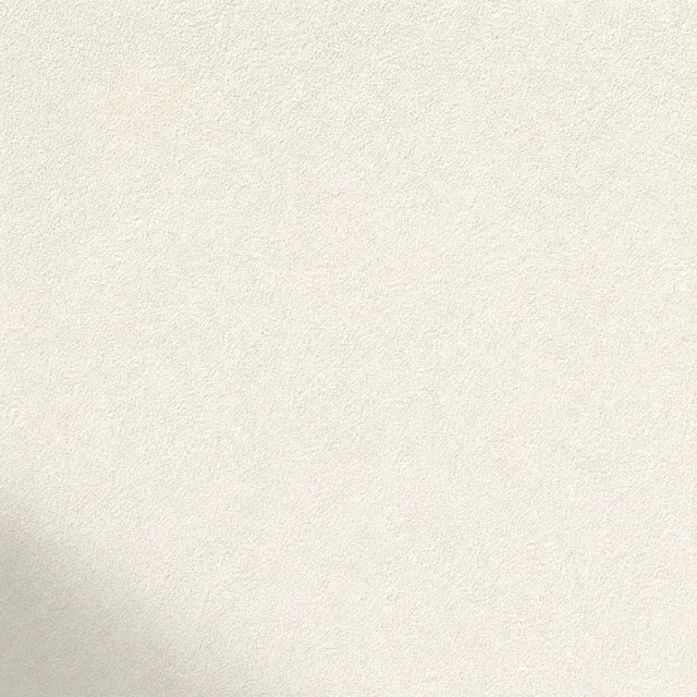 Pure White (NCS S 0500-N) silicate facade paint on fine mineral render