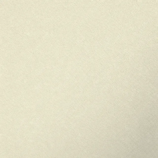 Pearl White (NCS S 1005-Y) silicate facade paint on fine mineral render