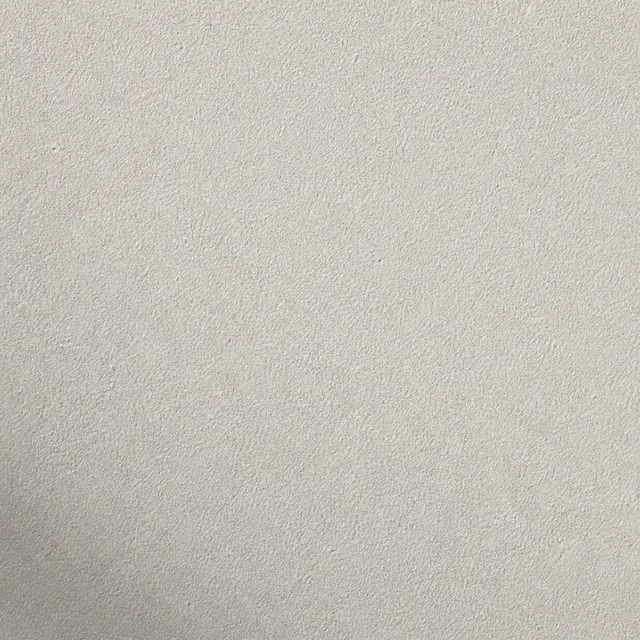 Light Grey (NCS S 3000-N) silicate facade paint on fine mineral render