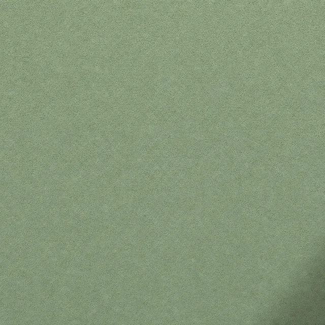 Pale Green (NCS S 3020-G30Y) silicate facade paint on fine mineral render