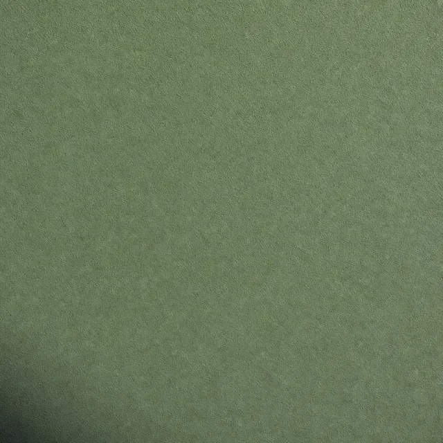 Reseda Green (NCS S 4020-G30Y) silicate facade paint on fine mineral render
