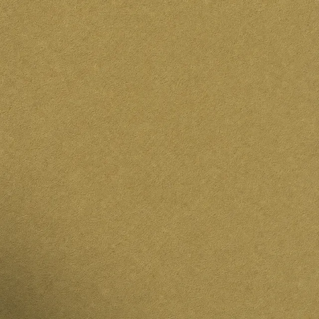 Brown Beige (NCS S 4030-Y30R) silicate facade paint on fine mineral render