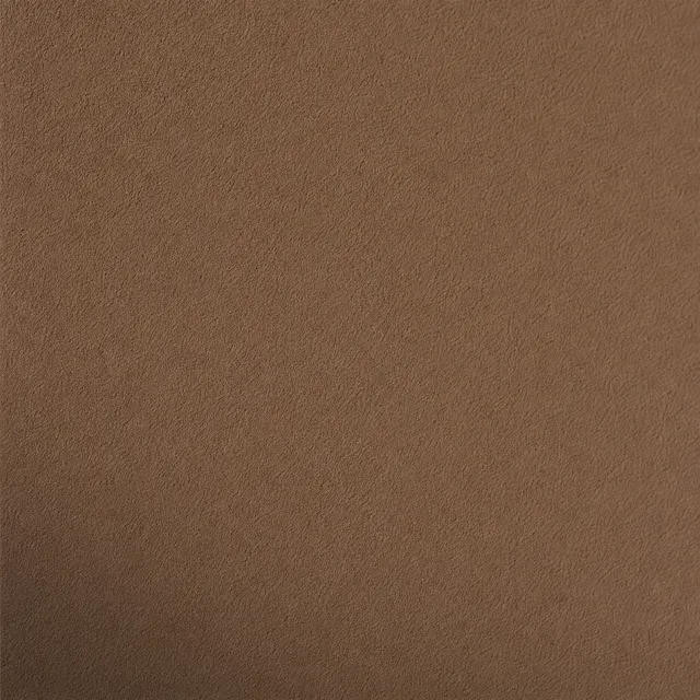 Beige Brown (NCS S 5030-Y50R) silicate facade paint on fine mineral render