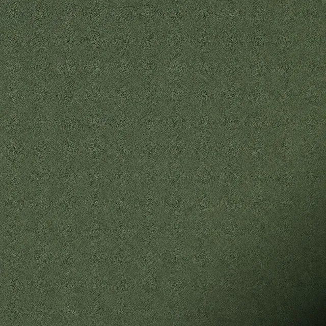 Olive Green (NCS S 5040-G30Y) silicate facade paint on fine mineral render