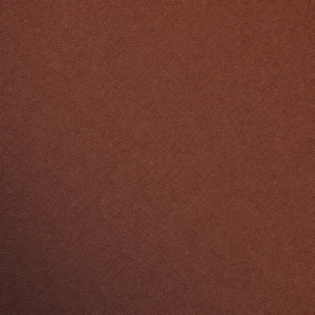 Russet (NCS S 6010-Y50R) silicate facade paint on fine mineral render