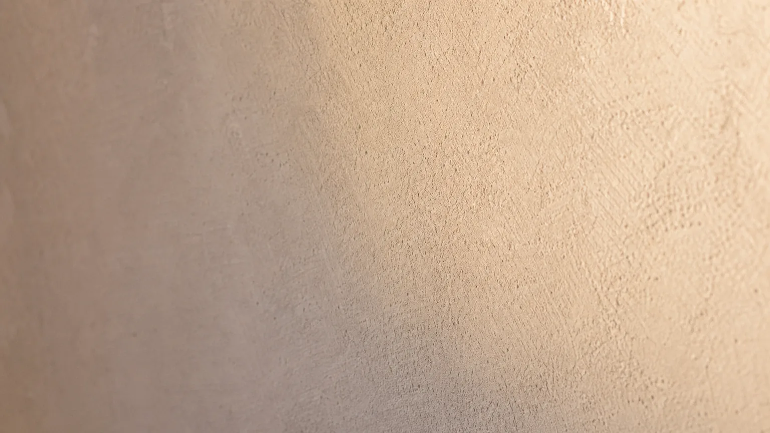 Fully primed interior lime-plaster wall in soft matt whitish silicate finish at six-hour mark, evenly absorbed and ready for topcoat