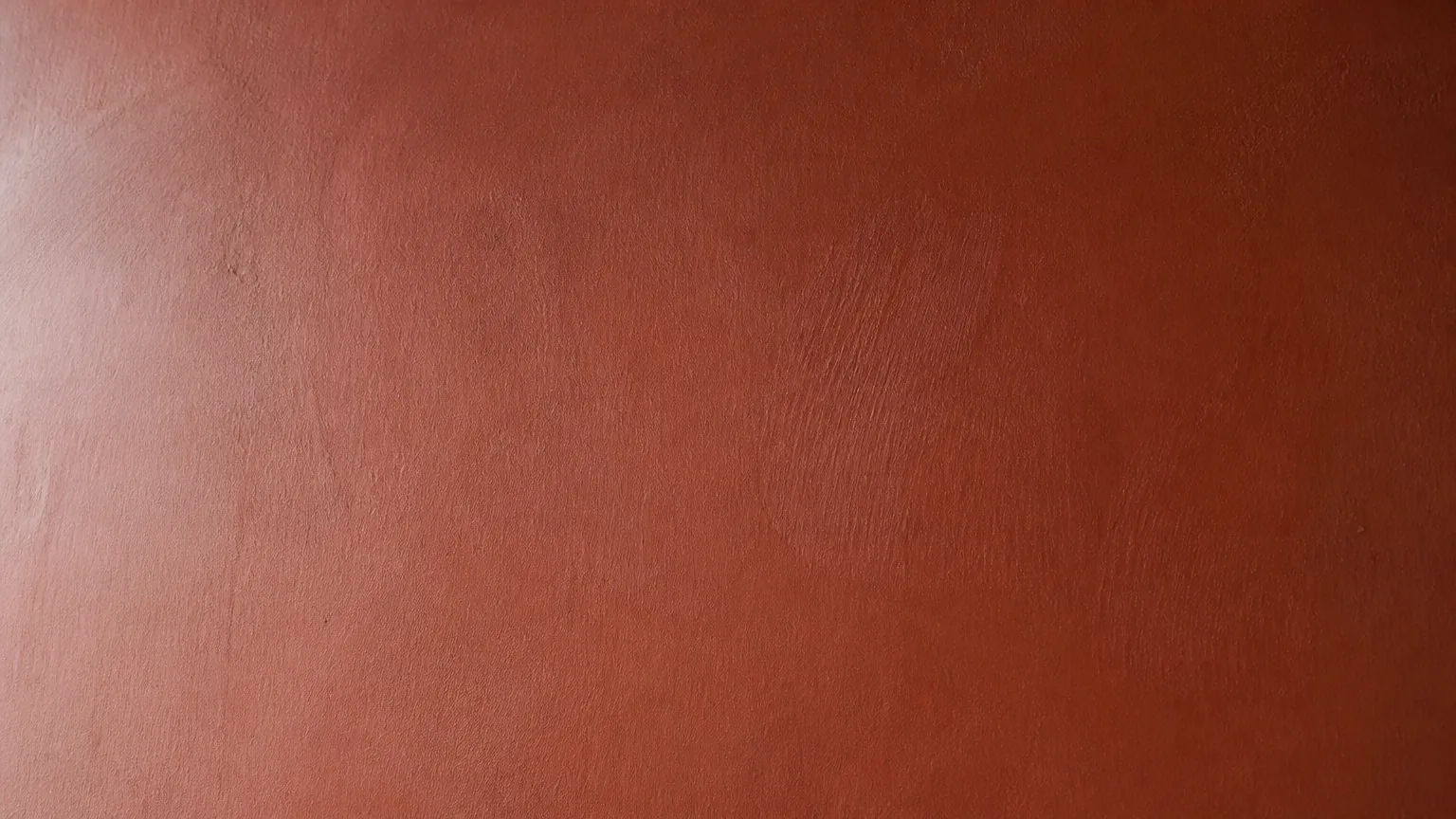 Finished matt clay-painted contemporary apartment feature wall in soft iron-oxide red with mid-morning daylight raking across the matt mineral surface — hand-applied brush direction faintly visible