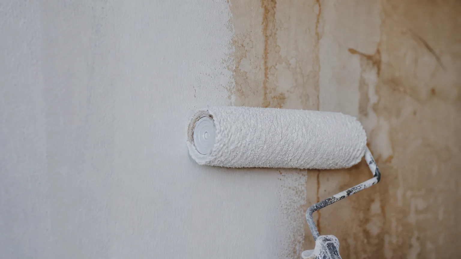 Short-pile roller applying opaque matt natural-white barrier primer over an old stained interior plaster wall, the stains vanishing under the fresh white coat