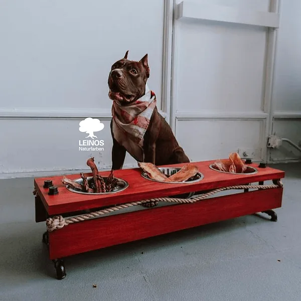Custom Dog Bowl Stand in Red Wood Stain