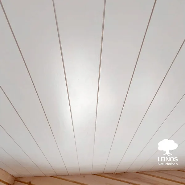 Wall-to-ceiling junction detail — clean opaque white above, bare pine below, no bleed at the joint.