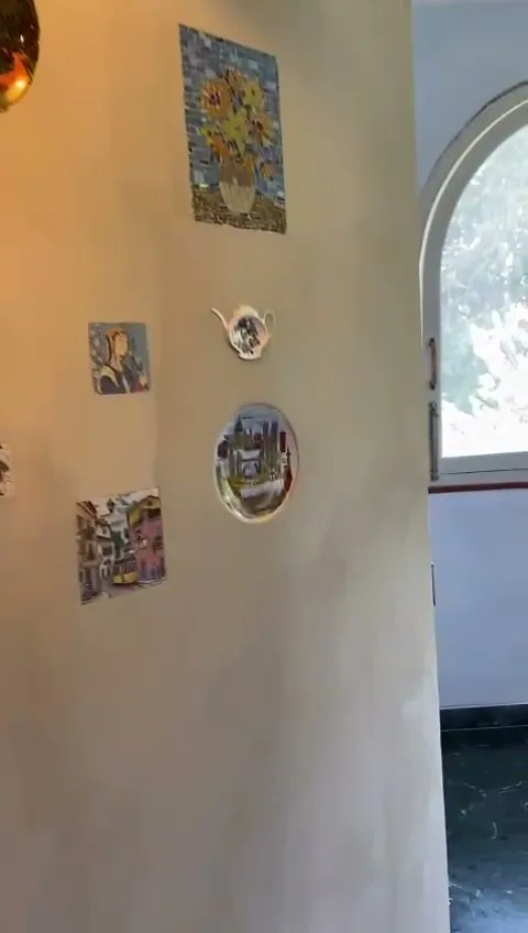 A brand walkthrough Reel by @leinos.india of a commercial interior in New Delhi, showing the limewashed walls in Lime Paint 665 — a soft, mottled matte texture — and the curated, art-filled space. Filmed on site as a brand showcase; it carries LEINOS's product claims rather than an independent audit.