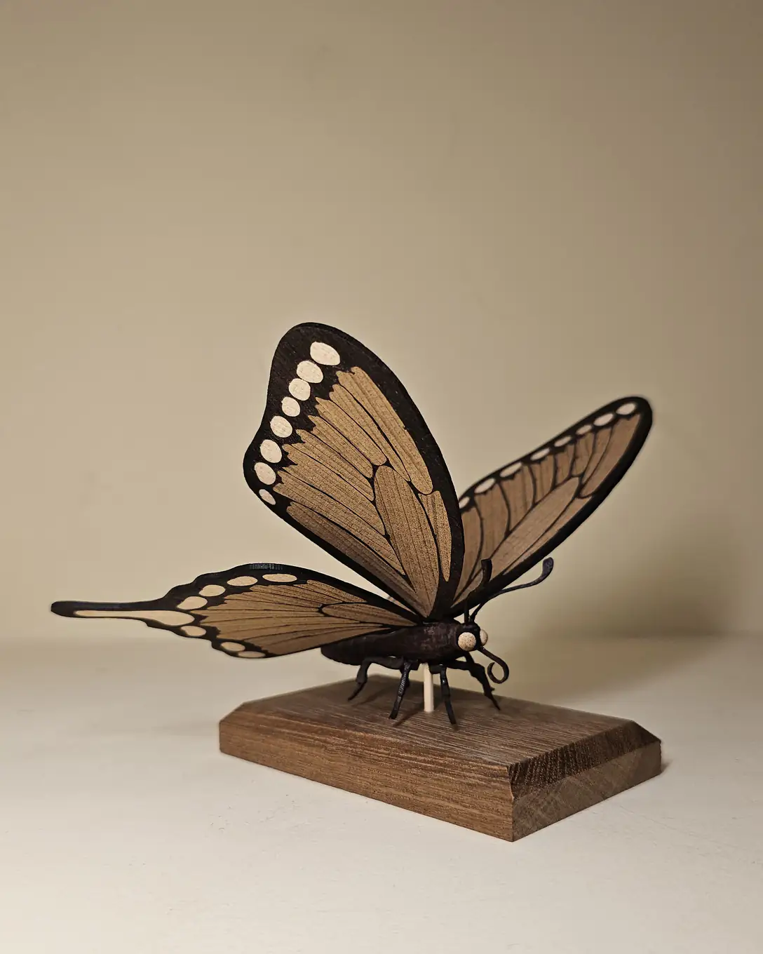 The finished marquetry butterfly seen from the side on its teak base against a plain wall, upper wings raised and lower wings spread.