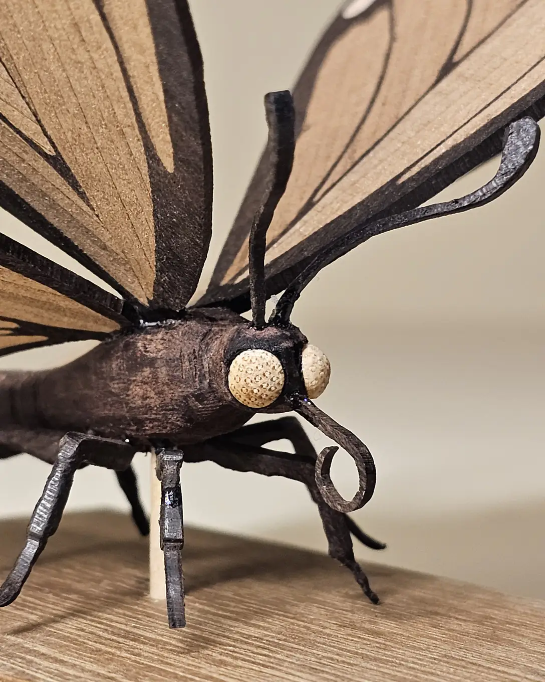 Close-up of the butterfly's carved rosewood body, pale maple eyes, a coiled wooden proboscis and thin carved legs on the teak base.
