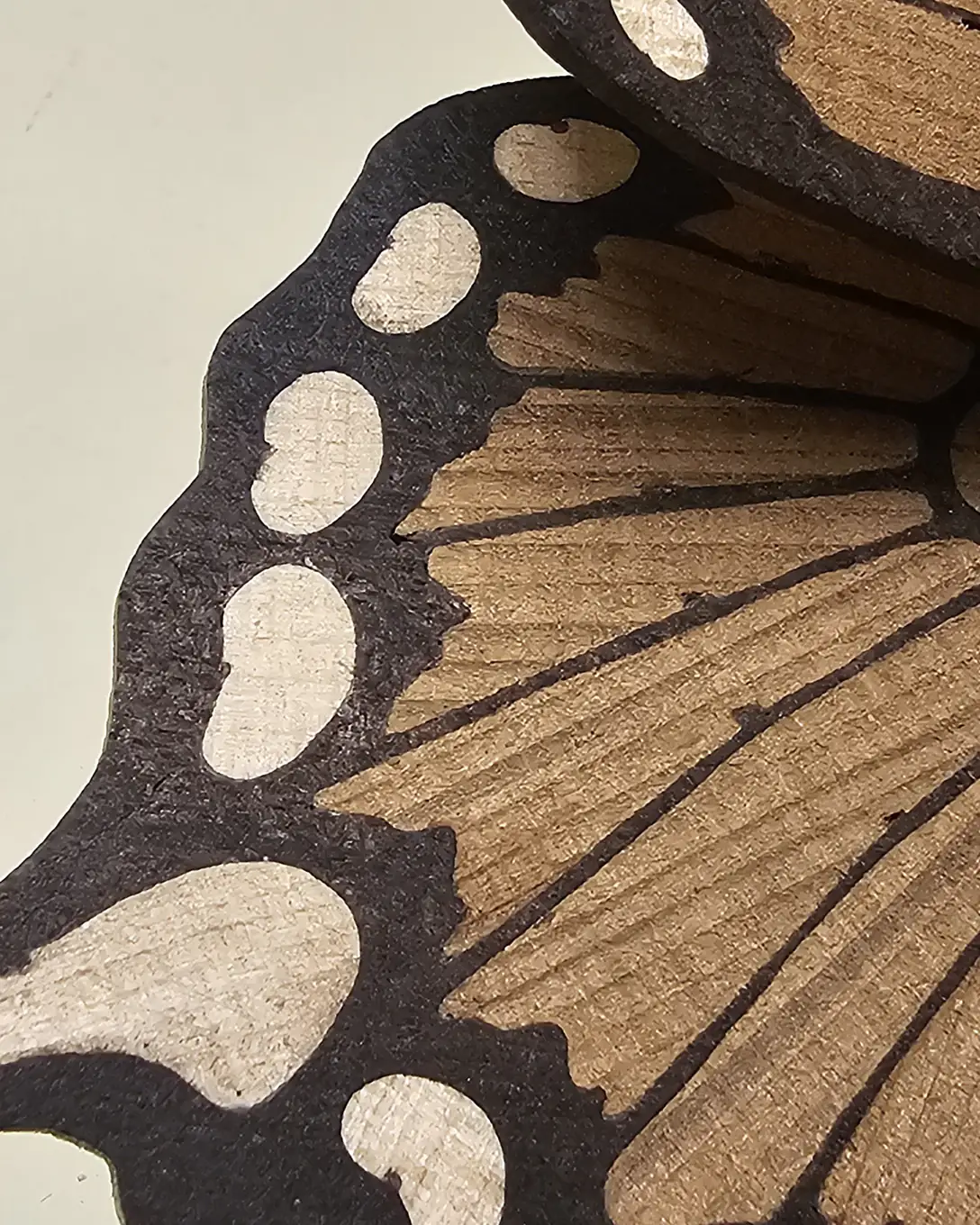 Close-up of a wing edge, white maple spots set into a black ebony border, with Canadian cedar grain fanning out beneath.