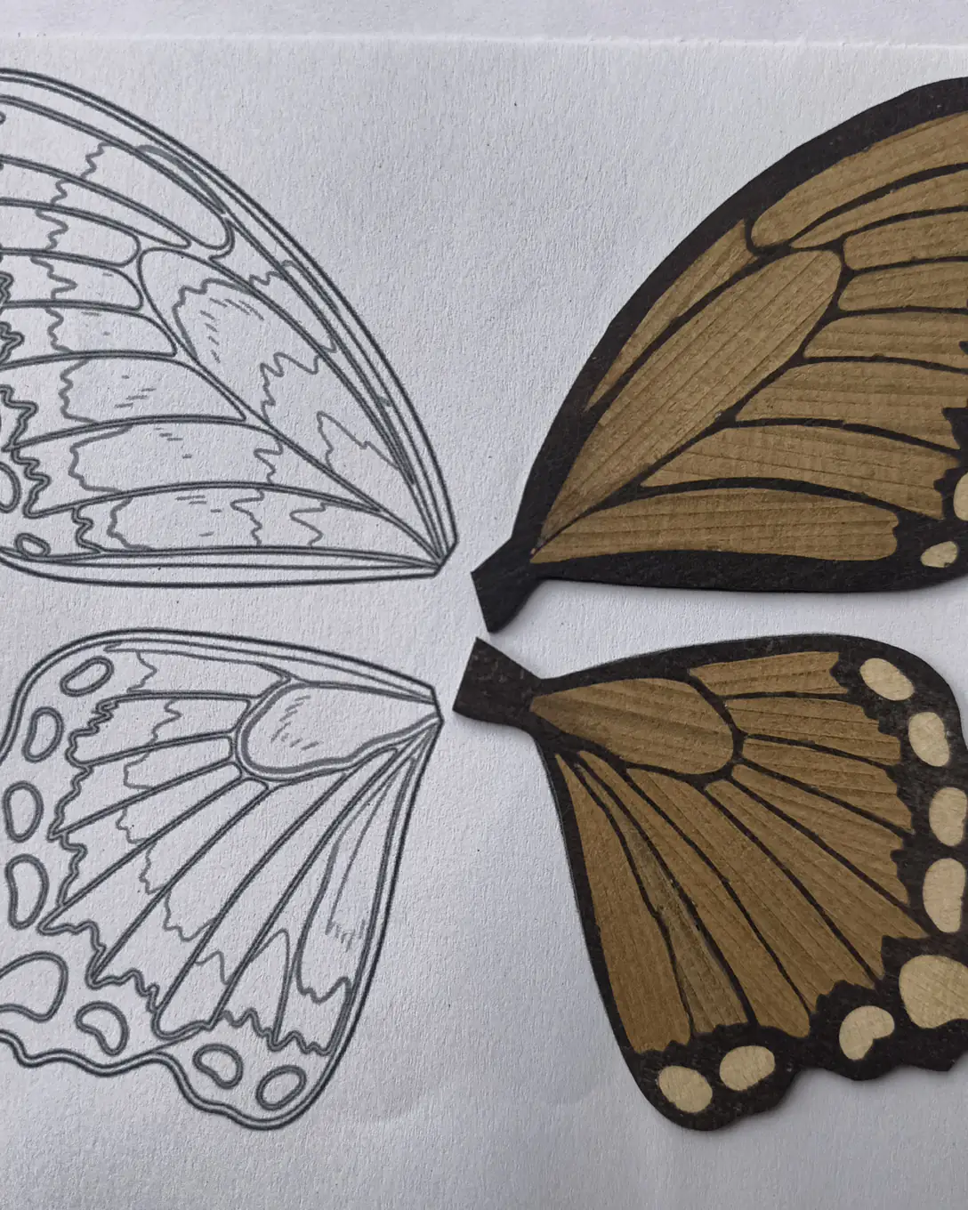 A pencil drawing of butterfly wings on paper beside the first two wings already cut and fitted in wood veneer.
