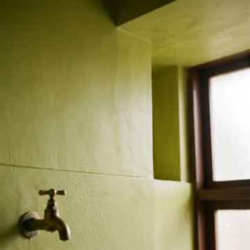 Damp & mould rooms